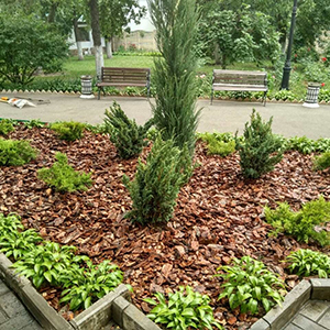 Хвойная мульча в Иркутске купить - оперативная доставка по всей России