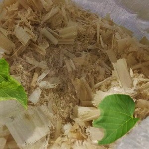 Лиственные опилки оптом в Иркутске от завода-производителя Лигнум Ресурс